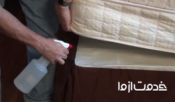 برای از بین بردن ساس چه باید کرد